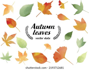 Autumn leaves vector item set