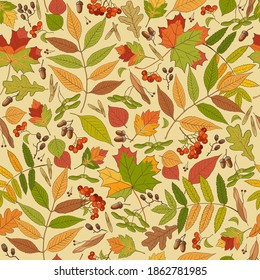 autumn leaves, vector, patern, yellow