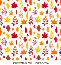 Autumn leaves vector seamless pattern isolated on white background. Flying maple and oak leaves.
