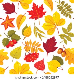 Autumn leaves vector seamless pattern. Red berries on branches, hawthorn, maple and linden yellow leaf on white background. Forest october foliage wrapping paper, wallpaper textile design