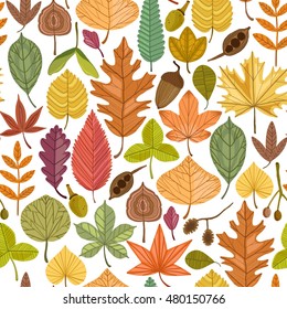 Autumn leaves vector seamless pattern on white background