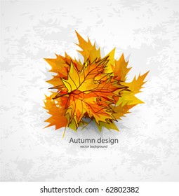 Autumn leaves. Vector seasonal background