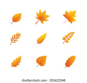 Autumn leaves vector set