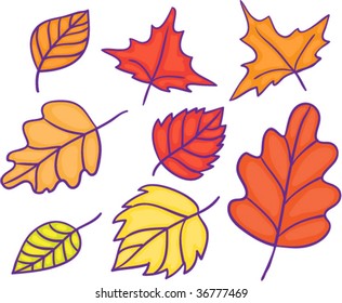 autumn leaves vector set
