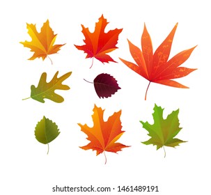 Autumn leaves vector set. Bright beautiful illustration. Great for background, card, banner, poster, greetings, icon template. 
