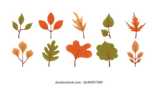 Autumn Leaves Vector Set Collection