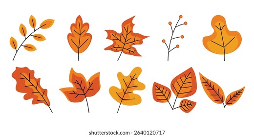 Autumn Leaves Vector Set Collection