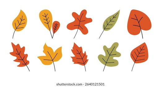 Autumn Leaves Vector Set Collection