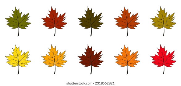 Autumn leaves vector set. Colorful and bright cartoon style. Maple leaves isolated on white background.