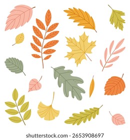 Autumn Leaves Vetor Set em Estilo Plano. Vetor definido em estilo plano com bordo, carvalho, ginkgo e outra folhagem de outono. Perfeito para desenhos sazonais, cartões, cartazes e tecido.