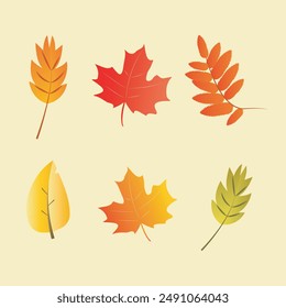 Autumn leaves vector set illustration