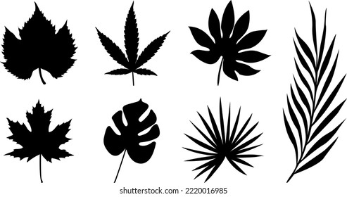 Conjunto de siluetas vectoriales de hojas de otoño