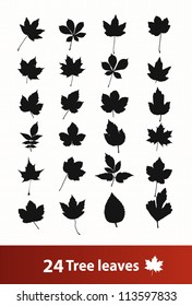 autumn leaves (vector)1 black