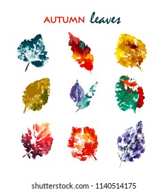 autumn leaves. Watercolor. Hand drawn