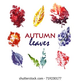 autumn leaves. Watercolor. Hand drawn