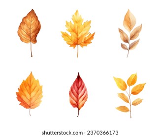 autumn leaves watercolor set, set of autumn maple leaves