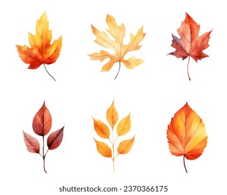 autumn leaves watercolor set, set of autumn maple leaves