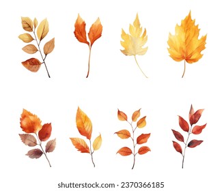 autumn leaves watercolor set, set of autumn maple leaves