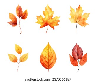 autumn leaves watercolor set, set of autumn maple leaves