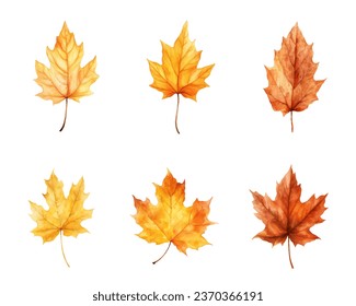 autumn leaves watercolor set, set of autumn maple leaves