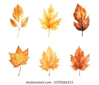 autumn leaves watercolor set, set of autumn maple leaves