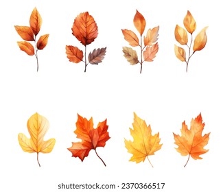 autumn leaves watercolor set, set of autumn maple leaves