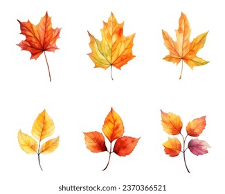 autumn leaves watercolor set, set of autumn maple leaves