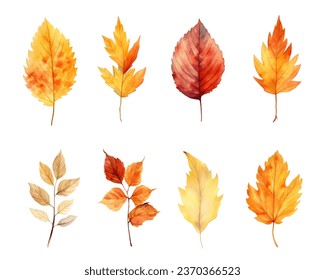 autumn leaves watercolor set, set of autumn maple leaves