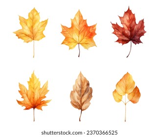 autumn leaves watercolor set, set of autumn maple leaves