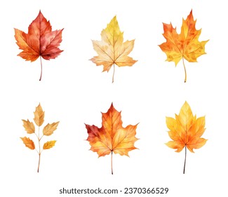 autumn leaves watercolor set, set of autumn maple leaves