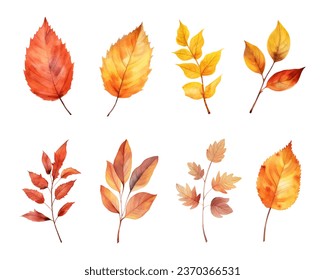 autumn leaves watercolor set, set of autumn maple leaves