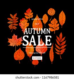 Autumn leaves. Watercolor texture. Fall leaf. Sale lettering design. Vector illustration EPS10