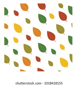 Autumn leaves with white background,vector autumn leaves