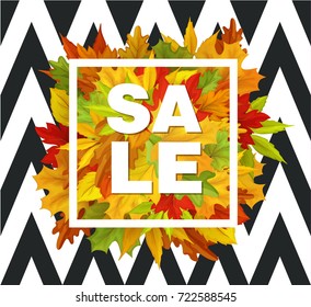 Autumn leaves in white square frame, maple oak, autumn banner, poster, placard template design. Vector flat cartoon Illustration with sale inscription on white black striped background.