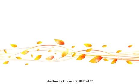 Autumn leaves, autumn, autumn wind vector illustration background material