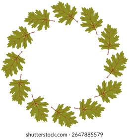 Autumn Leaves Wreath. Fall Leaves Frame. Vector Flat Illustrations. Botanical illustrations