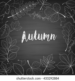 Autumn leaves written with chalk on black chalkboard.Vector