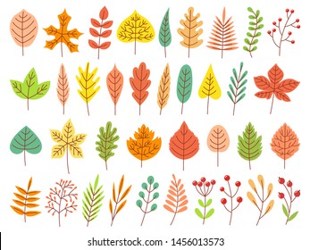 Autumn leaves. Yellow autumnal garden leaf, red fall leaf and fallen dry leaves. Botanical forest plants or september october tree foliage. Flat isolated vector symbols set