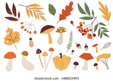 Autumn leaves. Yellow autumnal garden leaf, red fall leaf and fallen dry leaves. Botanical forest plants or september october tree foliage. Flat isolated vector symbols set. Hand drawn colorful doodle