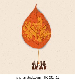 Autumn leaves, autumn, yellow, gold, orange, vector, illustration