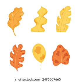 Autumn leaves. yellow and orange forest leaves. isolated,  on a white background