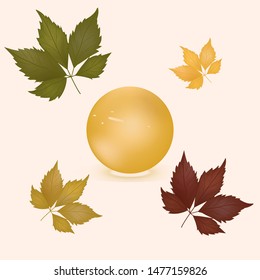 Autumn leaves, yellow round ball, golden pearls - light background - vector.