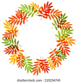 Autumn leaves for Your design
