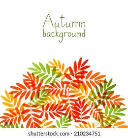 Autumn leaves for Your design