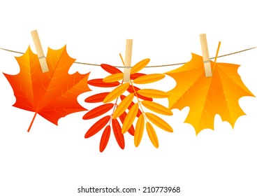Autumn leaves for Your design