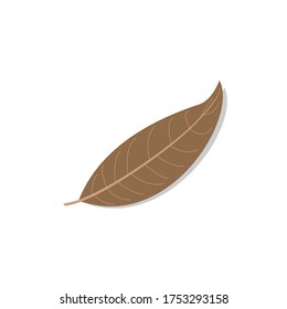 Autumn Leaves,dried leaves, Vector Illustration