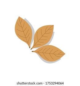 Autumn Leaves,dried leaves, Vector Illustration