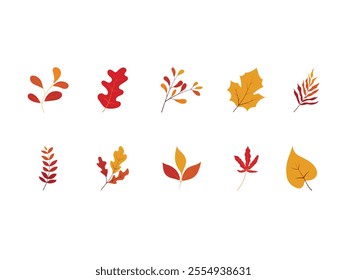 Autumn Leavs Illustration Element Set