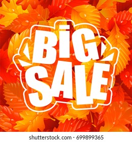 Autumn Lettering of Big Sale Text and Fall Leaves Seamless Pattern. Vector Illustration