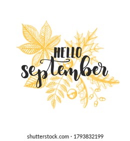 Autumn lettering calligraphy phrase - Hello september. Invitation Card with  Hand made motivation quote and hand drawn leaves-maple, birch, chestnut, acorn, ash tree, oak. Sketch, Vector design